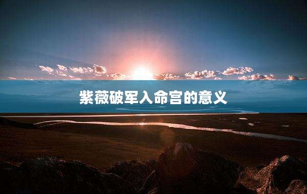 紫薇破军入命宫的意义