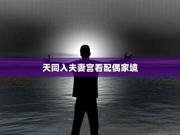 天同入夫妻宫看配偶家境