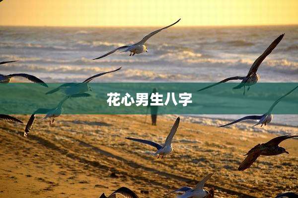 花心男生八字
