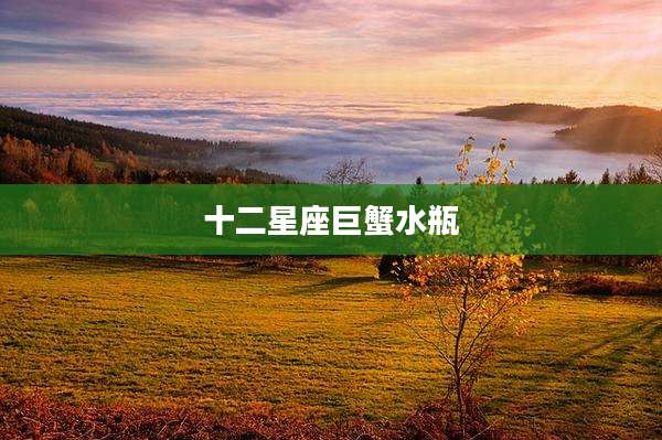 十二星座巨蟹水瓶