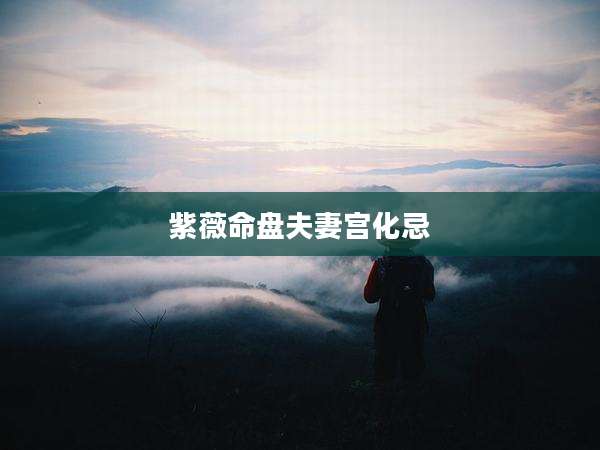紫薇命盘夫妻宫化忌