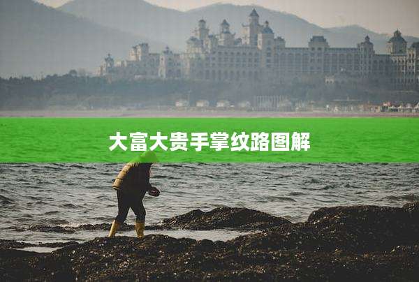 大富大贵手掌纹路图解