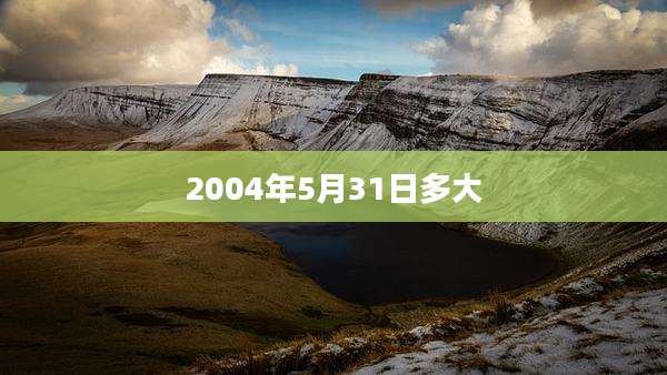 2004年5月31日多大