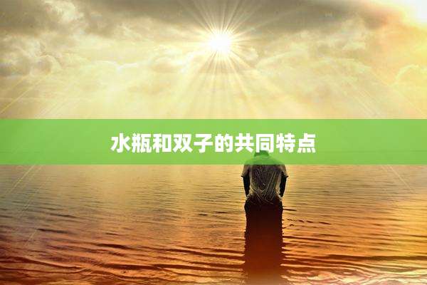 水瓶和双子的共同特点