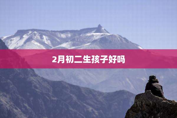 2月初二生孩子好吗