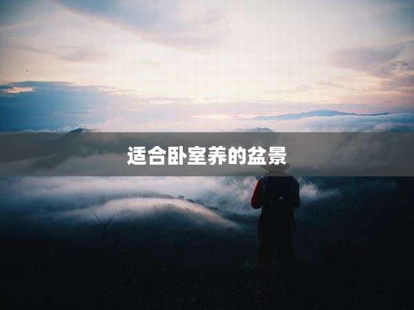 适合卧室养的盆景