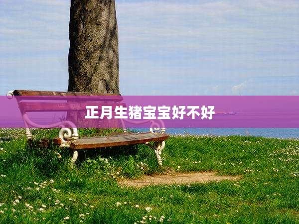 正月生猪宝宝好不好