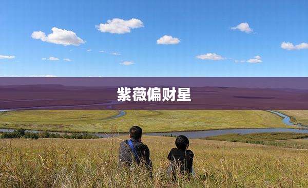紫薇偏财星