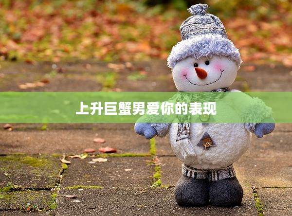 上升巨蟹男爱你的表现