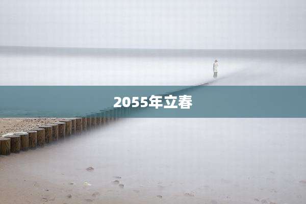 2055年立春