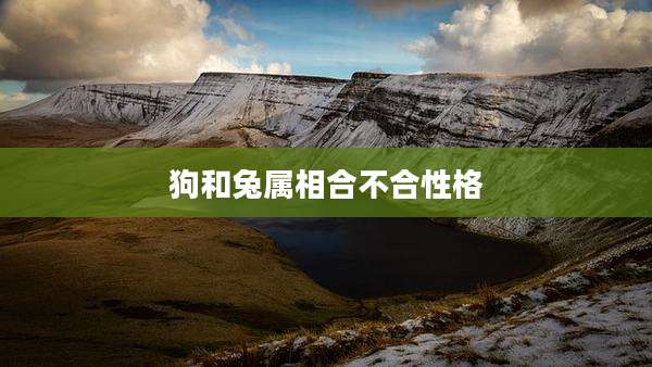 狗和兔属相合不合性格