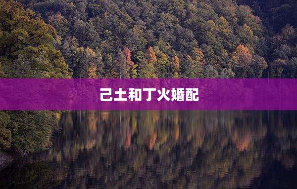 己土和丁火婚配