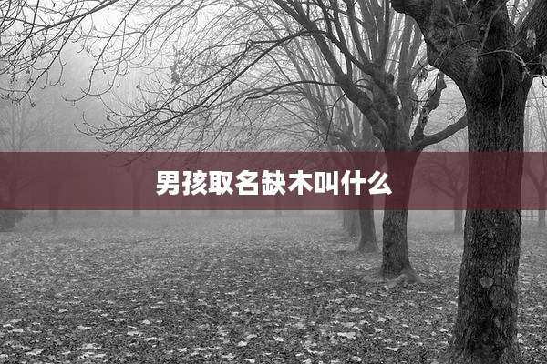 男孩取名缺木叫什么