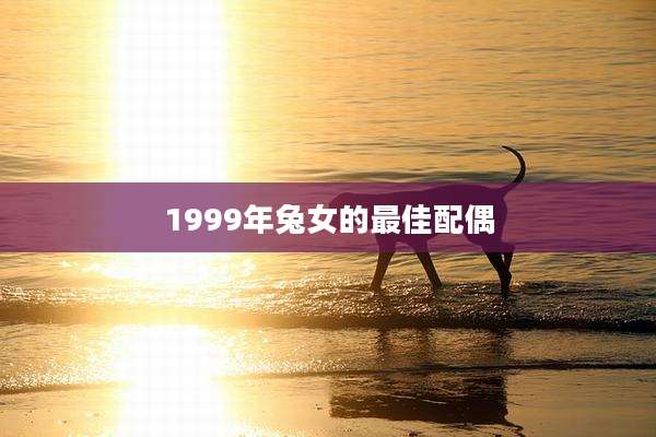 1999年兔女的最佳配偶