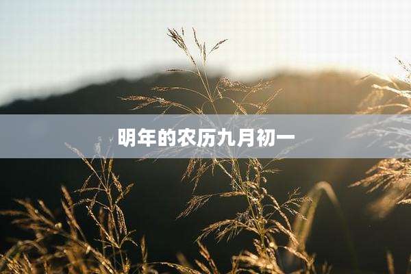 明年的农历九月初一