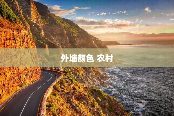 外墙颜色 农村