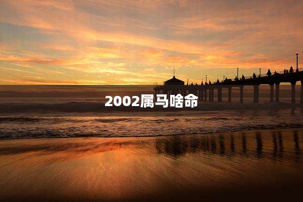 2002属马啥命