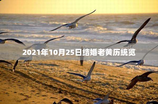 2021年10月25日结婚老黄历统览