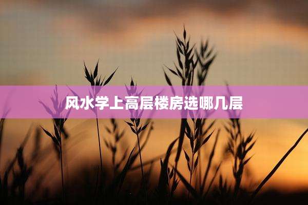 风水学上高层楼房选哪几层