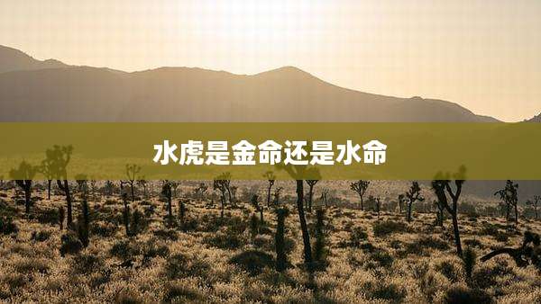 水虎是金命还是水命