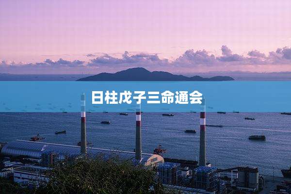 日柱戊子三命通会