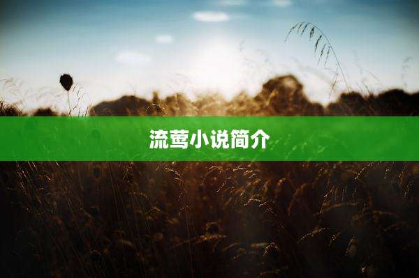流莺小说简介