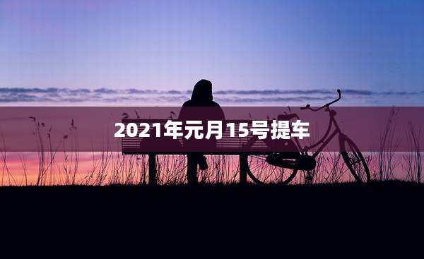 2021年元月15号提车