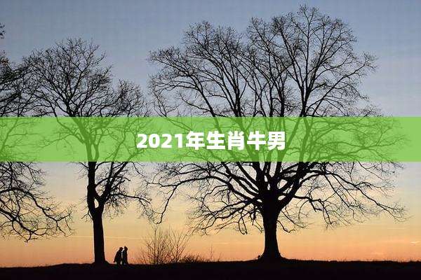 2021年生肖牛男