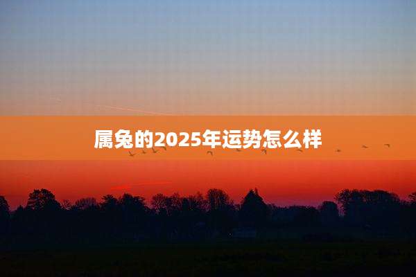 属兔的2025年运势怎么样