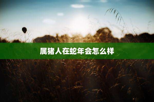 属猪人在蛇年会怎么样