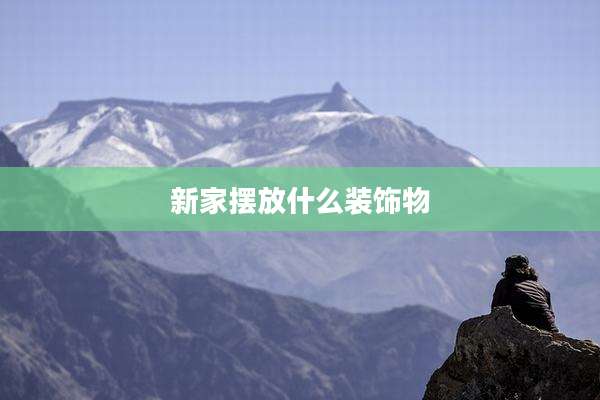 新家摆放什么装饰物