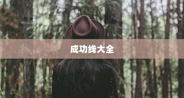 成功线大全