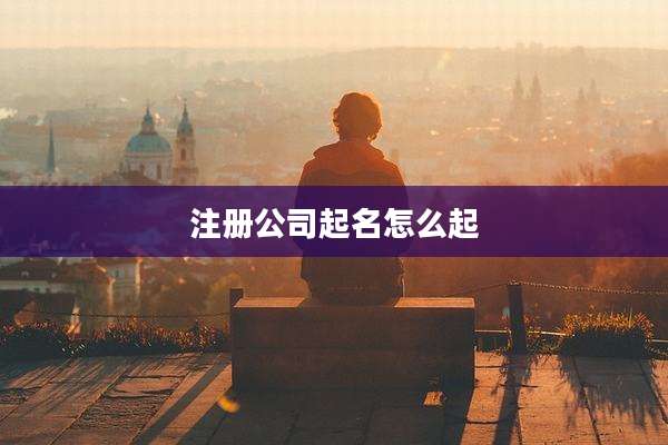 注册公司起名怎么起