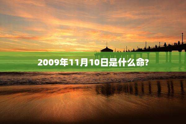 2009年11月10日是什么命?