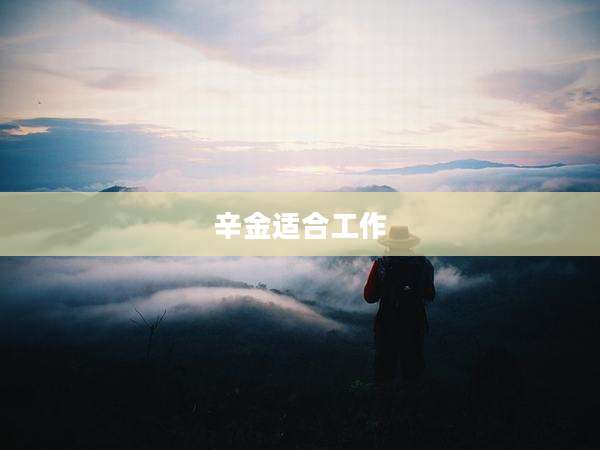 辛金适合工作