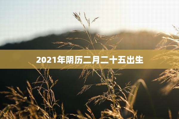 2021年阴历二月二十五出生
