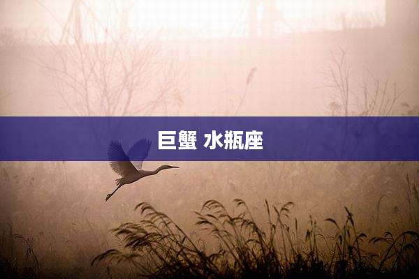 巨蟹 水瓶座