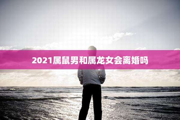 2021属鼠男和属龙女会离婚吗