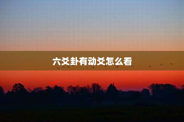 六爻卦有动爻怎么看