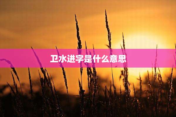 卫水进字是什么意思