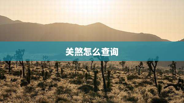 关煞怎么查询