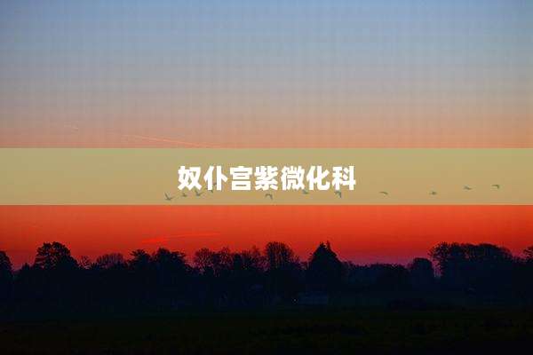 奴仆宫紫微化科