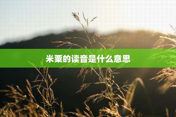 米粟的读音是什么意思