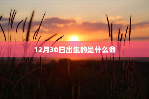 12月30日出生的是什么命