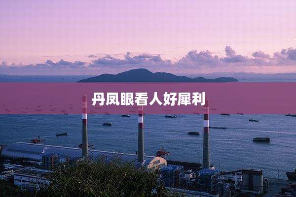 丹凤眼看人好犀利