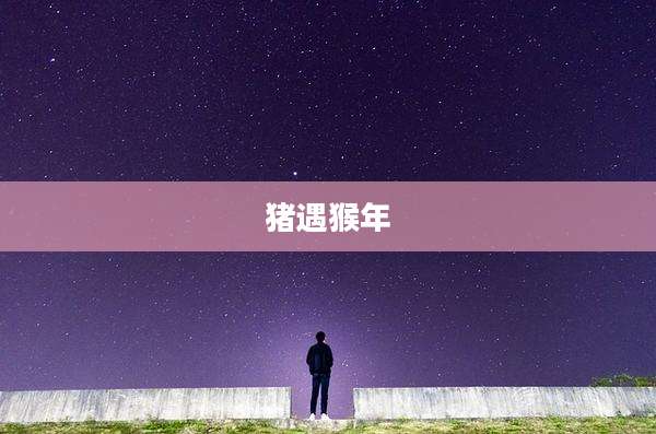 猪遇猴年