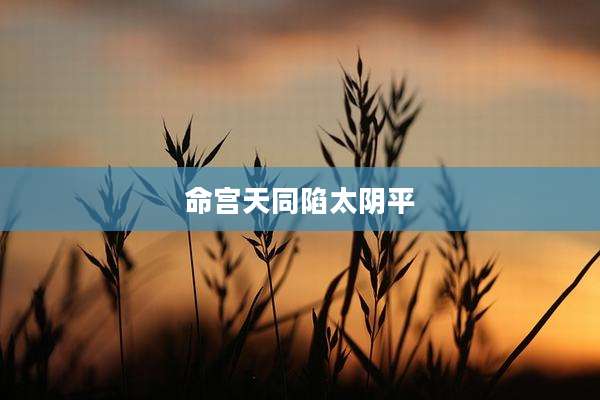 命宫天同陷太阴平