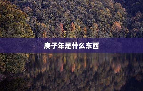 庚子年是什么东西