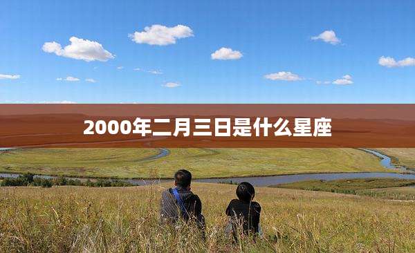 2000年二月三日是什么星座