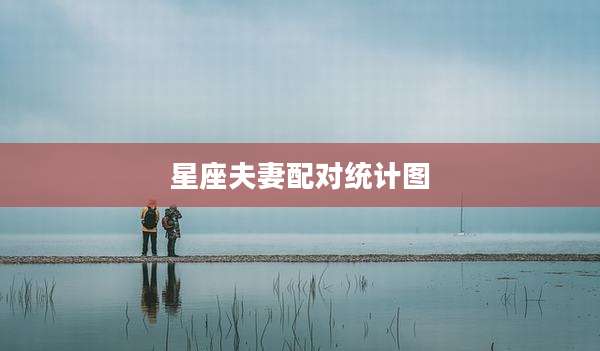 星座夫妻配对统计图